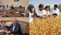 Pakistan Agricultural Coalition Proposes New Wheat Support Model for Farmers
