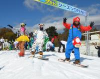 Study: Global warming could leave Japan with only 7 ski resorts