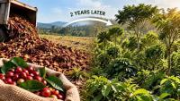 Can Coffee Waste Grow A Forest? Costa Rica Experiment Shows Striking Results In 2 Years