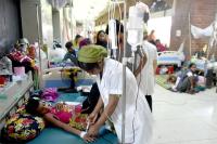 Bangladesh dengue deaths rise to 239 in 2026