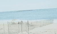 Residents Protest Reinstated Cabbage Beach Fence