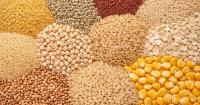 Diversifying to Millets for Food Security, Nutrition, and Sustainability: A Global South Perspective