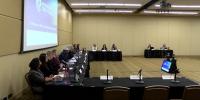 Minnesota Truth Council visits Rochester for final public meeting on Operation Metro Surge