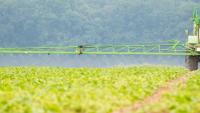 Research on pesticides in Argentina revealed that 86% of Argentines have glyphosate in their bodies