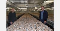 "Difficult mushroom market does not diminish the need for investment"