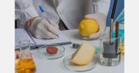 Uzbekistan and Latvia strengthen phytosanitary cooperation