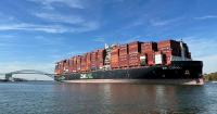 Government Companies Authority halts sale of ZIM shipping company