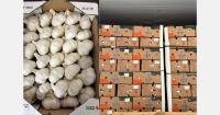 "Lebanese garlic can be an alternative for Europe, and carrots for West Africa"