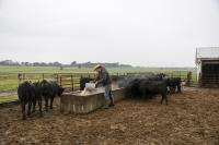 Iowa pork, cattle farmers drive the agricultural economy, battle fluctuating costs