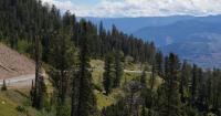 Driver airlifted after Teton Pass crash; medical condition suspected as cause