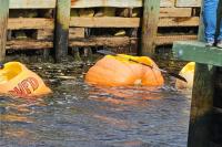 Giant pumpkins become boats for this wild Maine river race