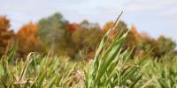 Farmers face drought conditions in Upper Michigan