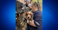 Over 100 animals rescued from hoarding situation in southwest Missouri