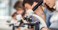 Best private high schools in Montana