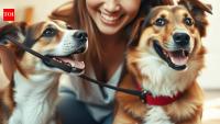 A shelter dog was carried into a New York Starbucks in a backpack; one stranger met her and adopted her three days later