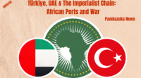 Türkiye, UAE, and the Imperialist Chain: African Ports and War