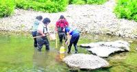 NTCC biology program makes potential new species discovery in Arkansas