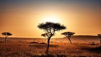 Kenya Turns Its Running Legacy Into a New Tourism Product