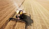 Kazakhstan grain shipments to Afghanistan rise over 4-fold