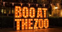Local West Virginia attractions offer family-friendly Halloween fun