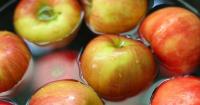 A taste of tradition: West Virginia’s apple heritage
