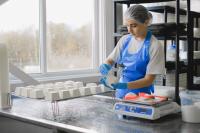 Moldova starts meat and dairy plant modernisation