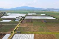 A Legitimate Industry Should Meet the Country's Laws