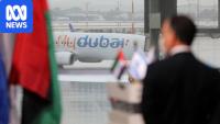 Israel to 'ramp up' aviation security after pilot 'tries to crash plane'