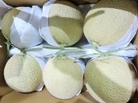 Eight food products fail inspections at border, FDA says