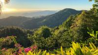 I Explored El Yunque National Forest At Night — And Found A Thriving Ecosystem Just Minutes From Puerto Rico’s Top Resorts