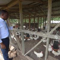 Dinthill Technical plans US$1.4m investment in commercial farming