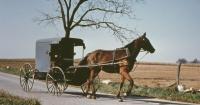 Amish paradise? New York 'effectively' bans sect with biased school vaccine mandate, SCOTUS told
