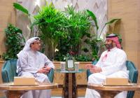 Saudi crown prince, UAE vice president meet in Riyadh