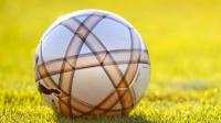 FAI Chiefs to meet with Oireachtas today following Israel fixture