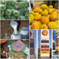 FOOD PRICE SHOCK! Uganda’s Inflation Jumps to 0.9% as Matooke, Beans, Milk Prices Soar