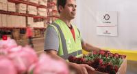 Nairobi moves beyond flowers as inbound ecommerce surges