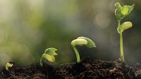 SADC symposium brings plant nutrition research closer to the farm