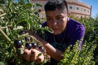 Indigenous agriculture is still being written by its youth in education