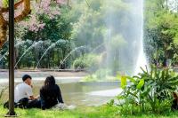 A Short Hop From Asunción: 5 Fascinating Places To Discover In The City Of San Lorenzo