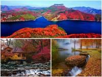 The 20th Benxi (International) Maple Leaf Festival Opens in Grand Style