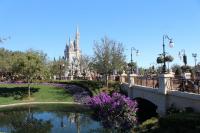 Central Florida Wish-Trip Charity Shuts Down, Leaves Families Chasing $6,383 in Costs