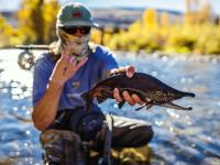 Business Spotlight: Almont Resort raffle offers private East River fishing