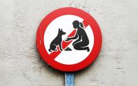 Ankara court annuls ban on feeding stray animals