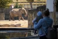 Budapest Zoo Earns Global Humane Certification