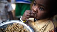Early nutrition: the missing link