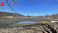 In 2025, pollution and dredging forced wildlife out of Pennsylvania’s Crystal Lake; after months of rehabilitation and cleanup, 49 musk turtles were released back into the lake