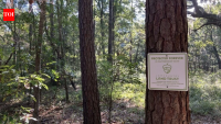 South Carolina pairs 102-acre nature preserve with 50 affordable homes