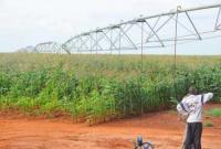 How irrigation schemes will drive Kenya's next farming push