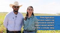 De La Cruz Office Helps Edinburg Agriculture Business Resolve H-2A Visa Delay