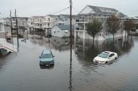 A Shark Was Spotted Swimming Through the Flooded Streets of New Jersey During the Nor'easter